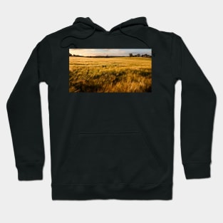 Late Sunshine on the Harvest Hoodie